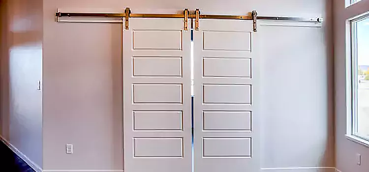 Glass Barn Door with Installation Hardware Kit Crofton