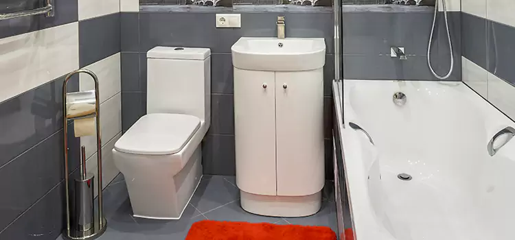 Hansgrohe Shaving Mirror Crofton